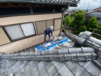 屋根の仮養生